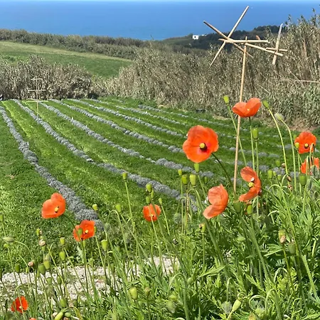 Salsa Livre - Micro & Lavender Farm By The וילה *